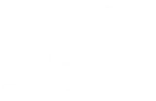 Manz Immobilien Logo weiß